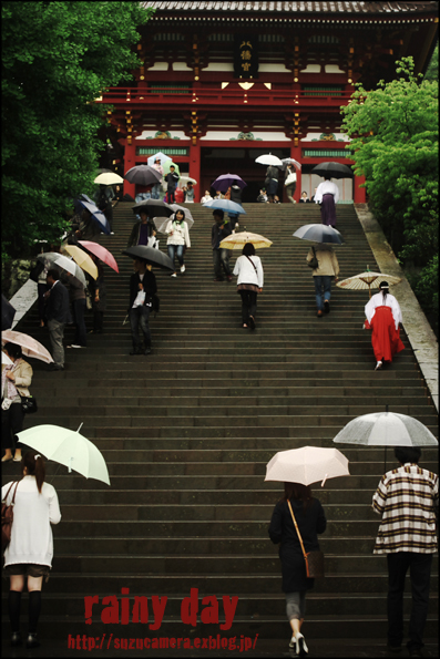 rainy day_f0100215_2311455.jpg