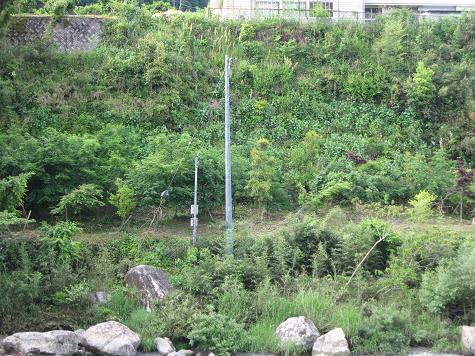 e0101917_7201144.jpg