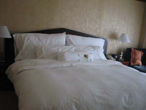 d0038319_1052514.gif