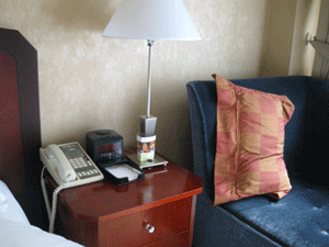 d0038319_1054910.gif