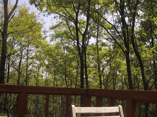 c0097620_2214642.jpg
