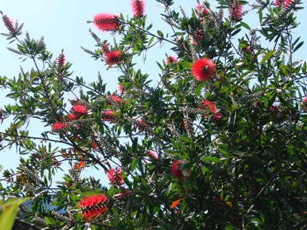 c0039924_2142120.jpg