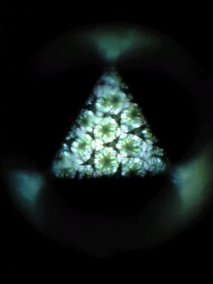 c0047024_272428.jpg