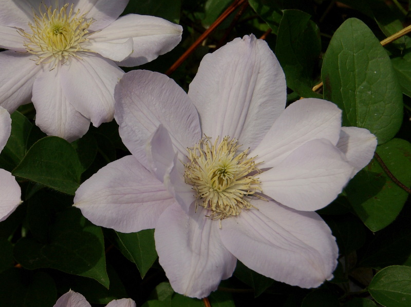 c0195327_20123870.jpg