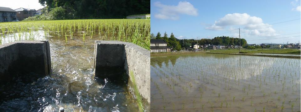 地域における社会医療法人の使命_b0115629_1905833.jpg