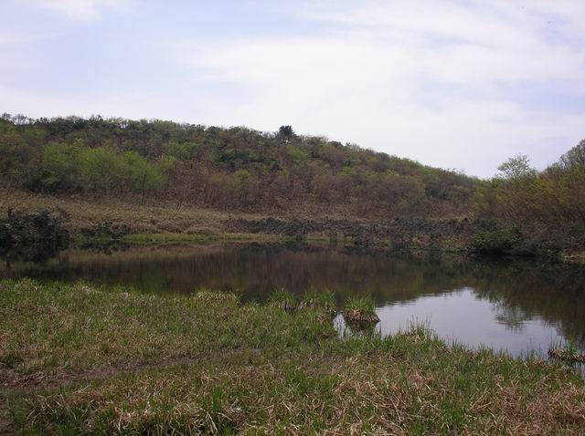 c0029332_23104989.jpg