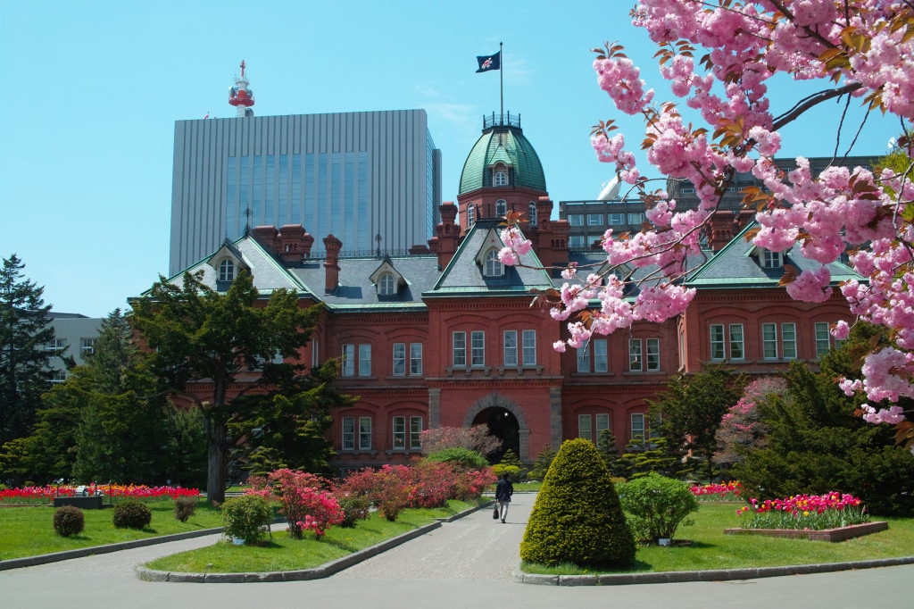 赤レンガ庁舎の八重桜とチューリップ_c0051132_15565375.jpg