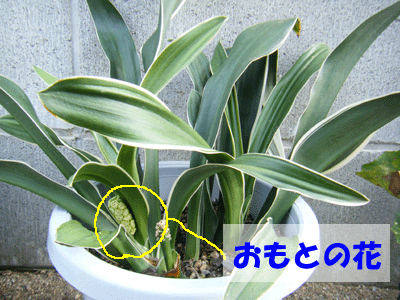 f0008935_16372638.gif