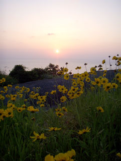 e0041337_946241.jpg