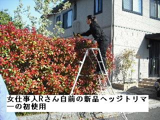 f0031037_19432181.jpg