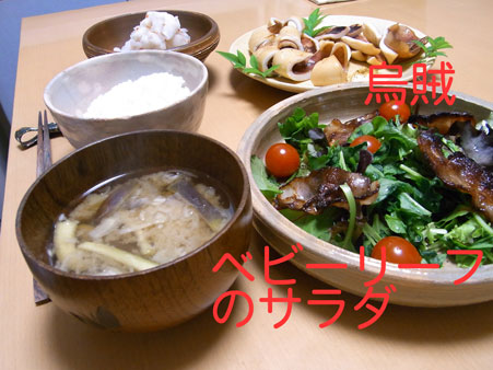 チキンライス（新加坡）旅行記≪最終回≫_a0117039_128997.jpg