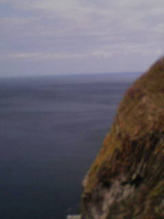 c0182843_1726052.jpg