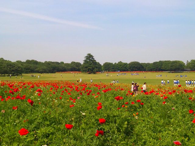 e0069647_2159027.jpg