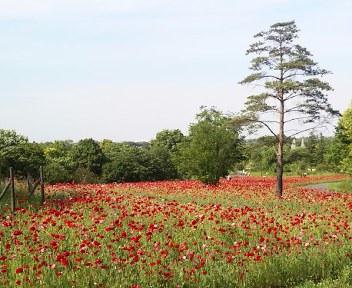 e0069647_2207100.jpg