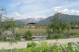 八色の森の緑とツツジの花_a0084753_15512378.jpg