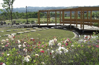 八色の森の緑とツツジの花_a0084753_15522489.jpg