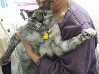 どうにもやめられない!?_b0059154_141819100.jpg