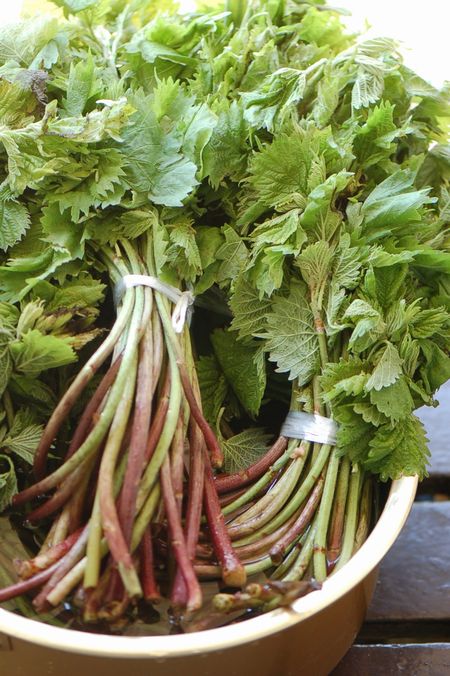 アイコ山菜 ｏｋａｎの素