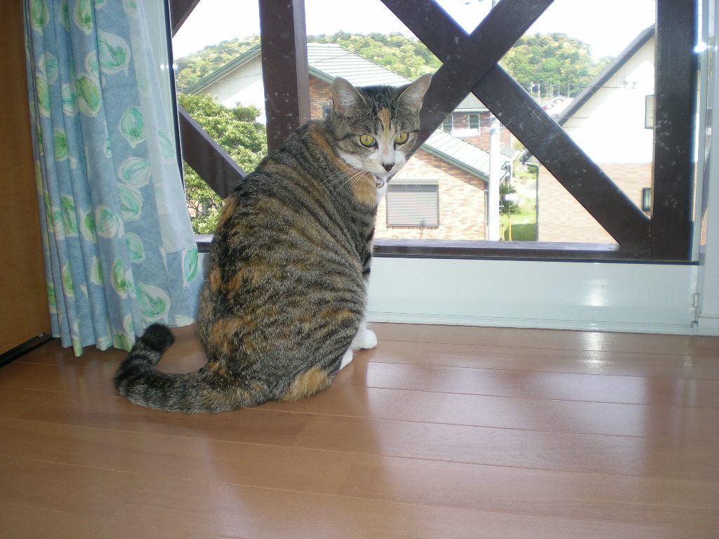 5月15日(金)キョン除けネット振り出しに!_f0060461_21423746.jpg