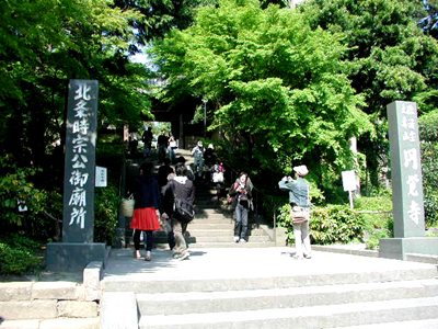 花の円覚寺_e0170562_19301965.jpg