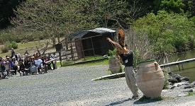 掛川花鳥園　その三_f0139963_2314575.jpg