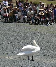 掛川花鳥園　その三_f0139963_23201344.jpg