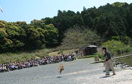 掛川花鳥園　その三_f0139963_2374829.jpg