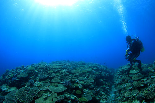 d0114375_2333856.jpg