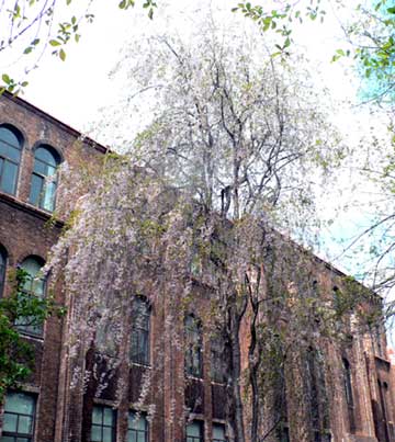 f0083977_22342127.jpg