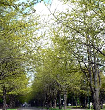 f0083977_2236456.jpg