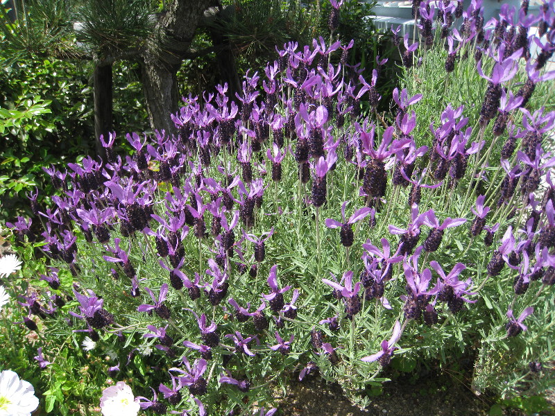 c0132387_21202611.jpg