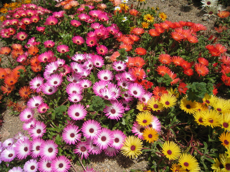 c0132387_21204610.jpg