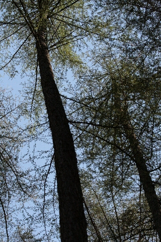 d0133693_16121079.jpg