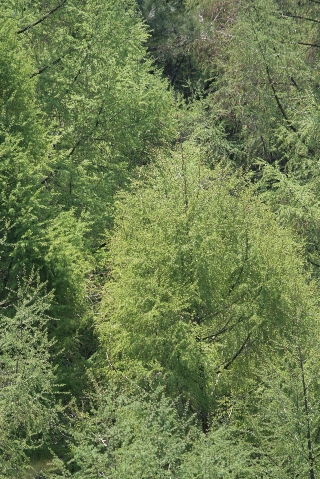 d0133693_16122818.jpg