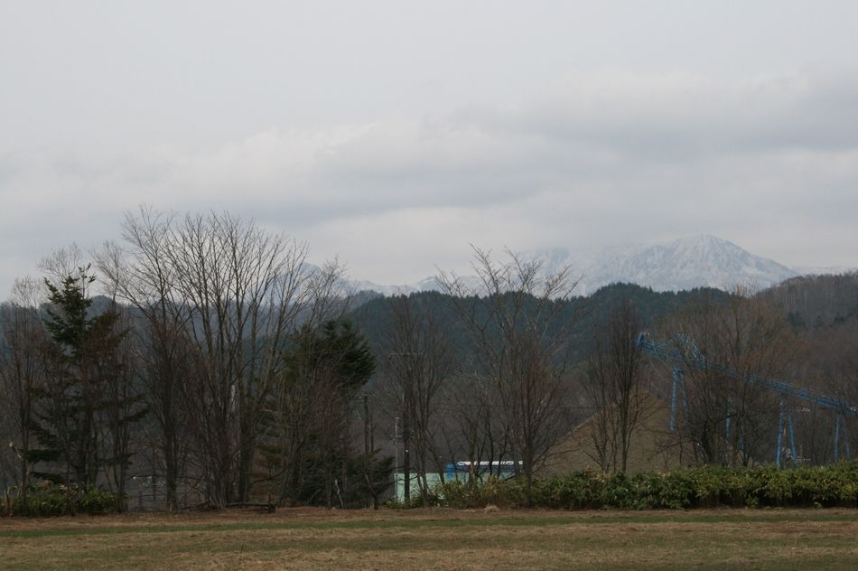 d0119909_1754145.jpg