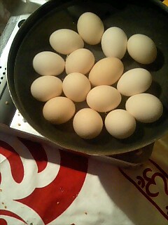 やべぇ_c0033210_1915010.jpg