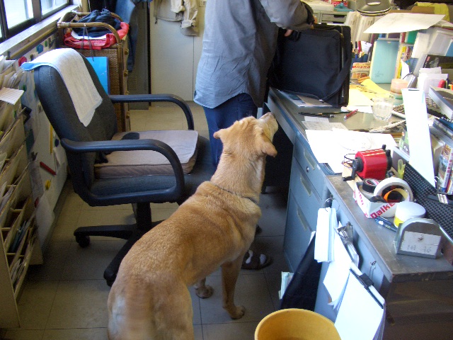 c0116610_18425546.jpg