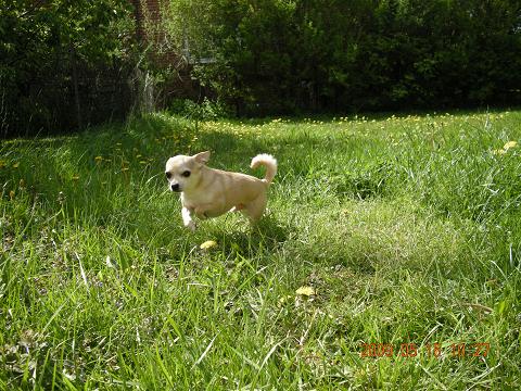 c0192813_2212830.jpg