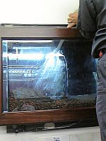 e0114015_22503681.jpg