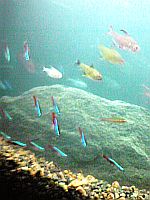 e0114015_22511372.jpg