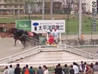 帯広《ばんえい十勝》_a0057021_2057064.jpg