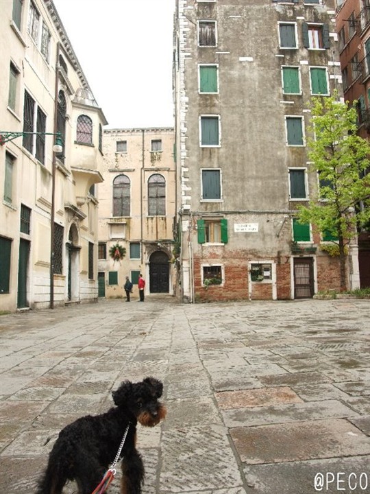 愛犬と行く海外旅行　２００９　迷路へ・・・・。_b0083925_162930100.jpg