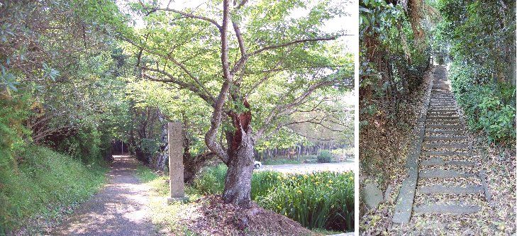 橿原市探訪（2009.05.12）⑤御厨子（みずし）神社1・・・_a0016431_15244877.jpg