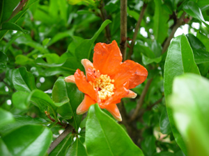 e0097534_18412599.jpg