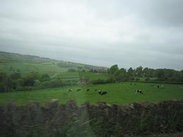 f0150936_15253789.jpg