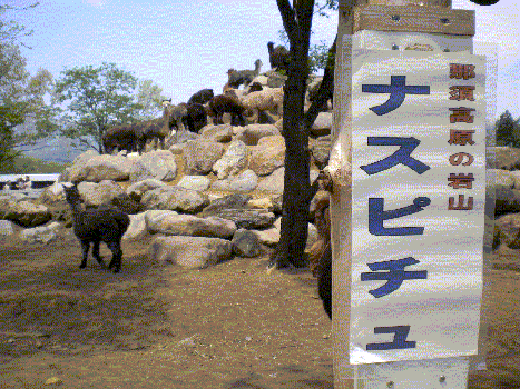 f0135838_05614.gif