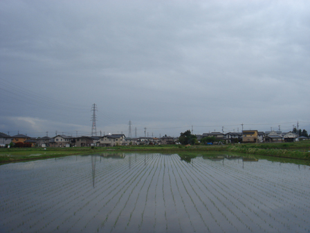 a0014840_2241168.jpg