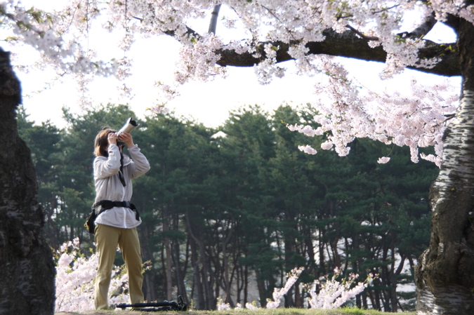 Sakura 2009 _b0083049_2185352.jpg