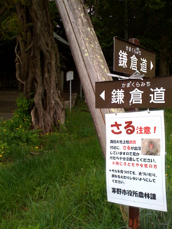 前宮の_e0026053_15462120.jpg