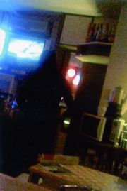 e0155560_1981033.jpg
